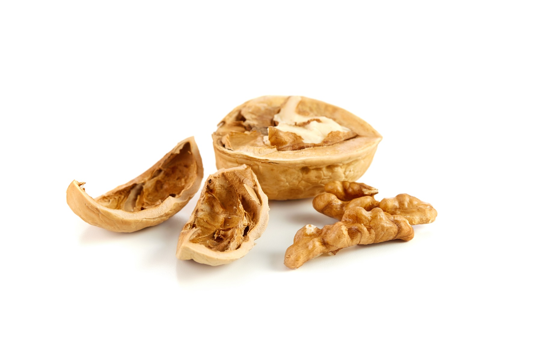 walnut shell