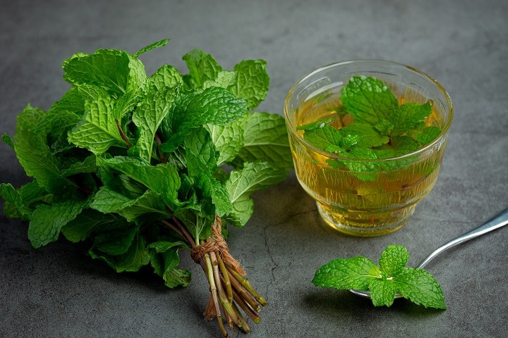 tulsi herbal