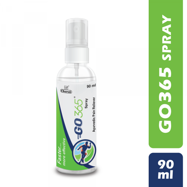 GO 365 Joint Pain Relief Spray