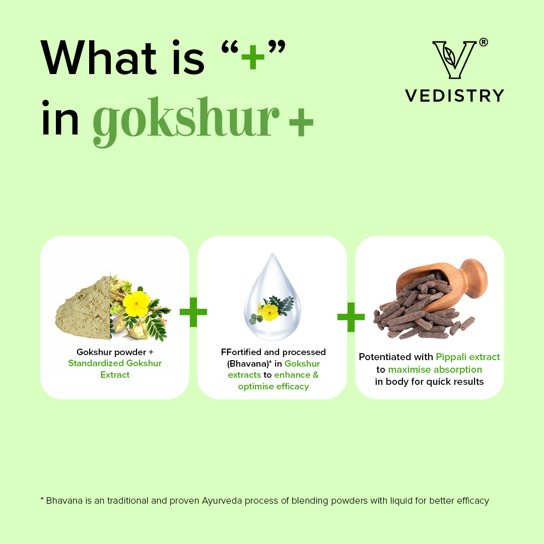 what is gokshur+
