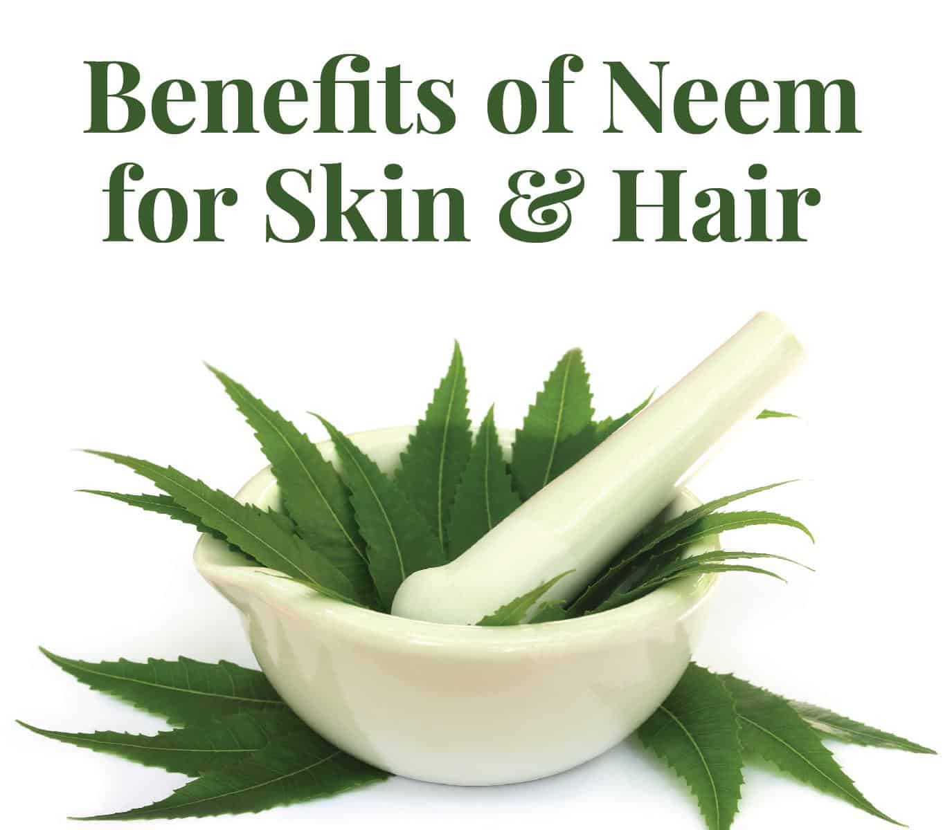 Neem: An Essential herb for Skin & Hair