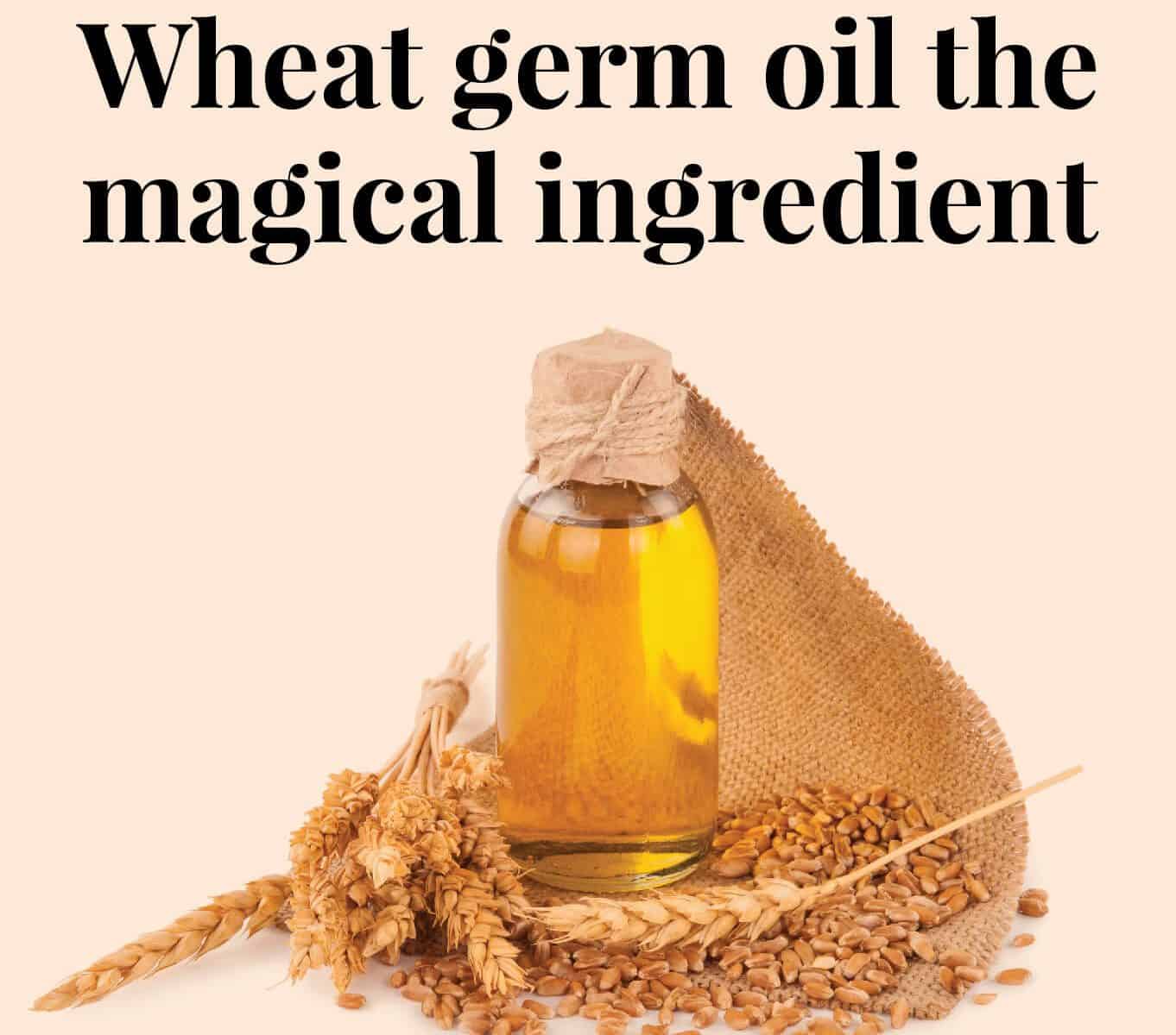 Wheat Germ Oil the Magical Ingredient